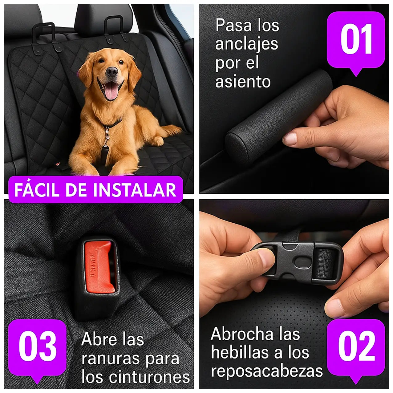 Pet Seguro®